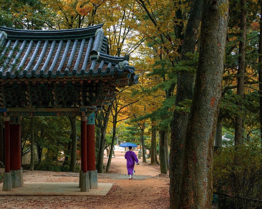 South Korea Updates Withholding Tax and Wage Payment Rules