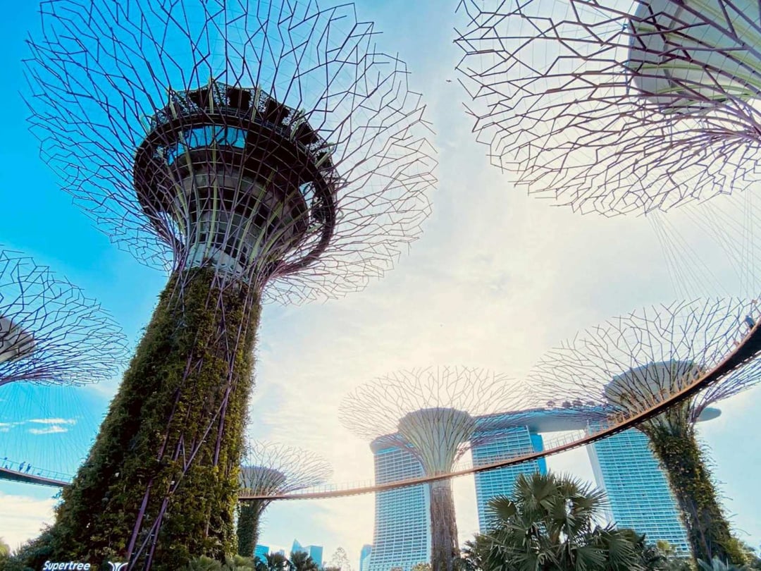 New Retirement and Re‑Employment Thresholds Set to Reshape Singapore Workforce