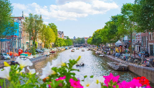 Centre of Excellence - Netherlands